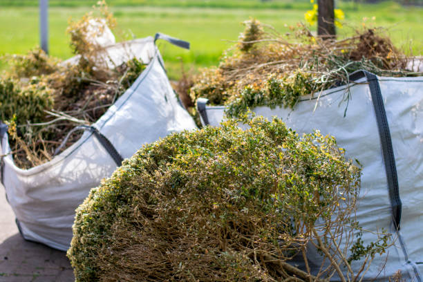 Best Professional Junk Removal  in Fresno, CA